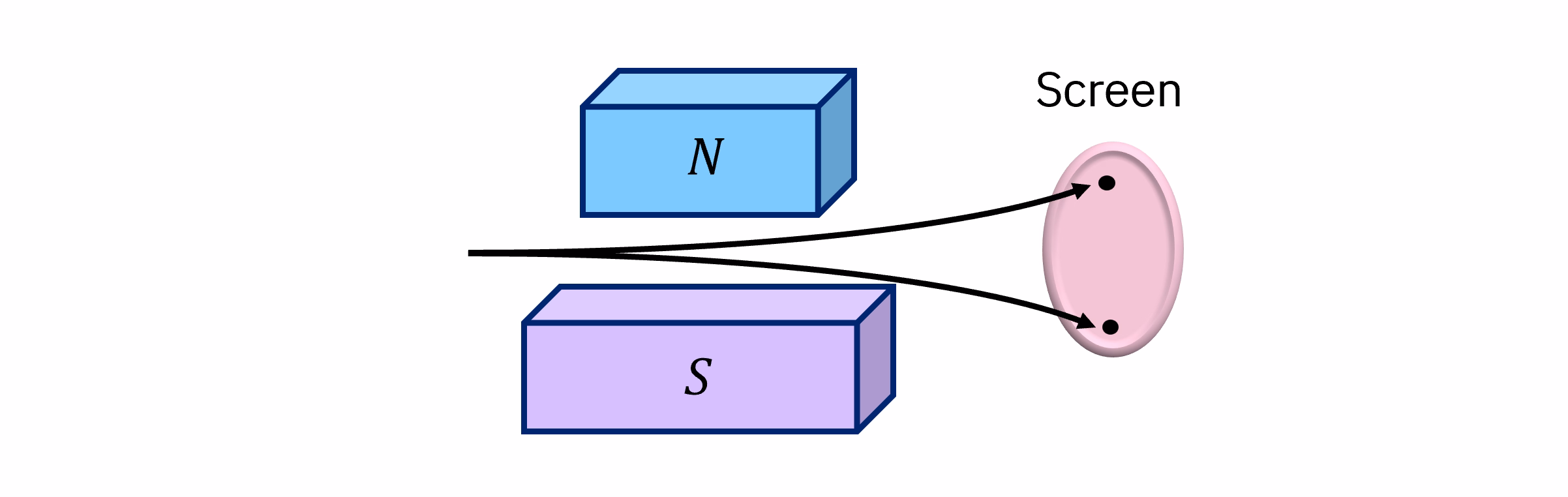 Diagram of a beam of particles being deflected either up or down, striking one of two dots on a screen, with no particles in between these two maxima